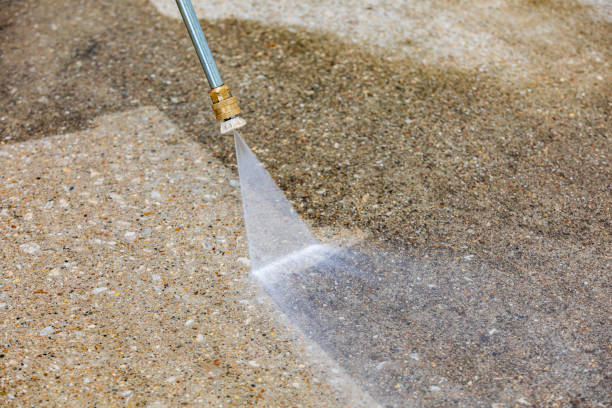 Animal Enclosure Cleaning in Logansport, LA